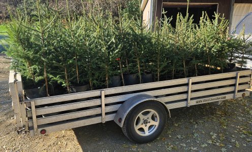 20251024_100115.jpg 20251024_100115.jpg