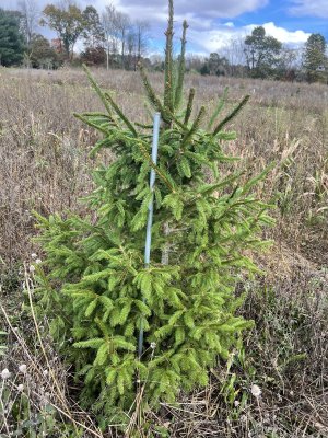 IMG_6211.jpeg IMG_6211.jpeg