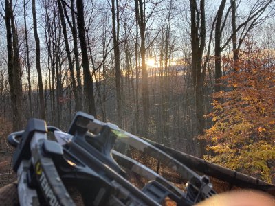 IMG_4996.jpeg IMG_4996.jpeg