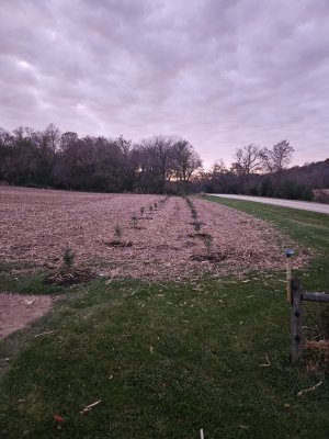 20251025_182916.jpg 20251025_182916.jpg