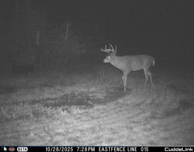 east buck 5.jpeg east buck 5.jpeg