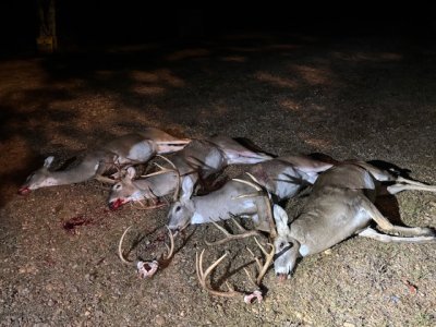 IMG_5691.jpeg IMG_5691.jpeg