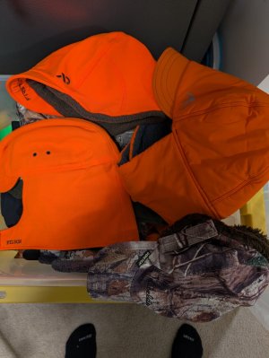 PXL_20251029_153930695.jpg PXL_20251029_153930695.jpg