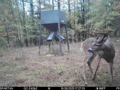 IMG_8970.jpeg IMG_8970.jpeg