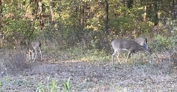 Screenshot 2025-10-29 at 5.56.44 PM.png