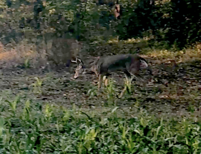 Screenshot 2025-10-29 at 5.59.41 PM.png