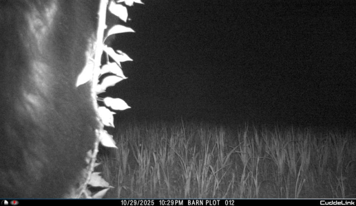 1761848073507.png 1761848073507.png