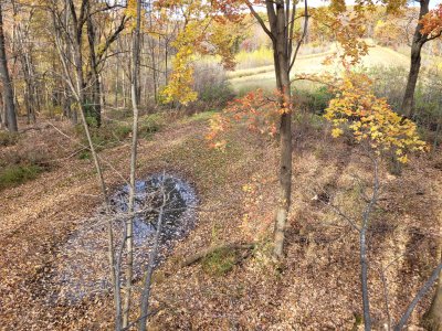 20251030_151750.jpg 20251030_151750.jpg