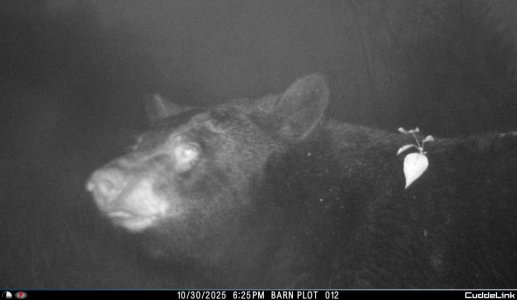 1000001017.jpg 1000001017.jpg