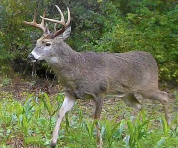 Image 10-30-25 at 4.09 PM.jpeg