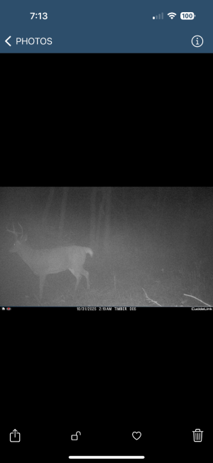 IMG_3438.png IMG_3438.png