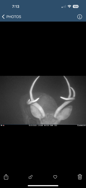 IMG_3439.png IMG_3439.png