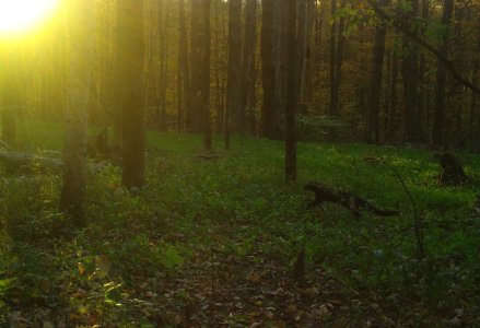 C4F49254-581B-4499-8AFB-93FAFB04F139.jpeg C4F49254-581B-4499-8AFB-93FAFB04F139.jpeg