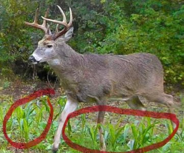 IMG_7900.jpeg IMG_7900.jpeg