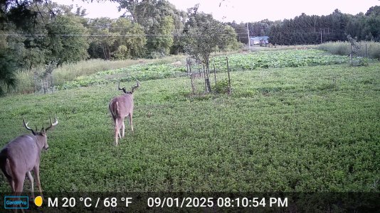 DSCF0468.JPG DSCF0468.JPG