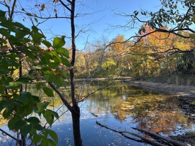 IMG_7816.jpeg IMG_7816.jpeg