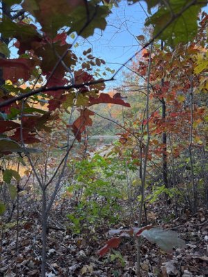 IMG_7819.jpeg IMG_7819.jpeg