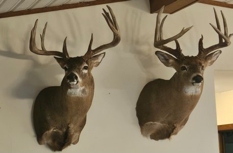 20240814_182241.jpg 20240814_182241.jpg