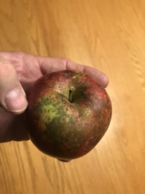 F16802E8-7D93-4269-B63A-398C27F9E766.jpeg F16802E8-7D93-4269-B63A-398C27F9E766.jpeg