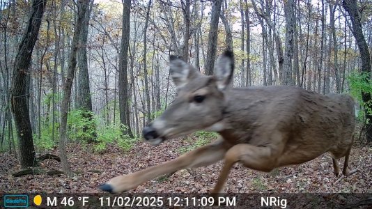 Screenshot_20251102_212943.jpg Screenshot_20251102_212943.jpg