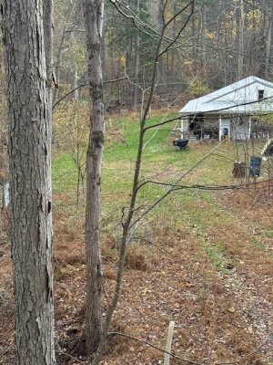 Buck 2.jpg Buck 2.jpg