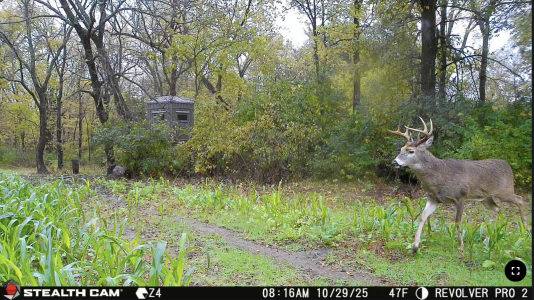 Screenshot 2025-11-03 at 6.40.30 PM.png