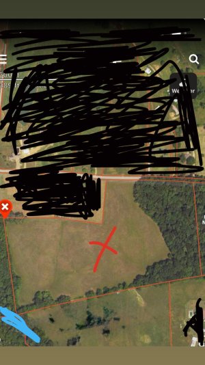 IMG_2230.jpeg IMG_2230.jpeg