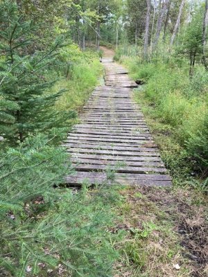 IMG_2322.jpg IMG_2322.jpg