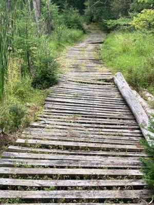 IMG_2324.jpg IMG_2324.jpg