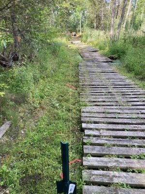 IMG_2334.jpg IMG_2334.jpg