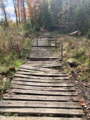 IMG_2374.jpg IMG_2374.jpg