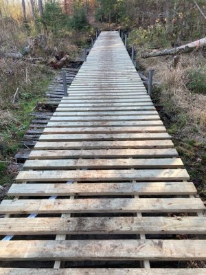 IMG_2446.jpg IMG_2446.jpg