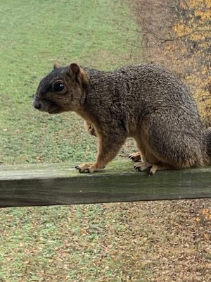 IMG_6011.jpeg IMG_6011.jpeg