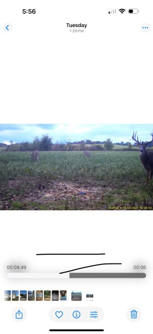 IMG_8774.jpeg IMG_8774.jpeg