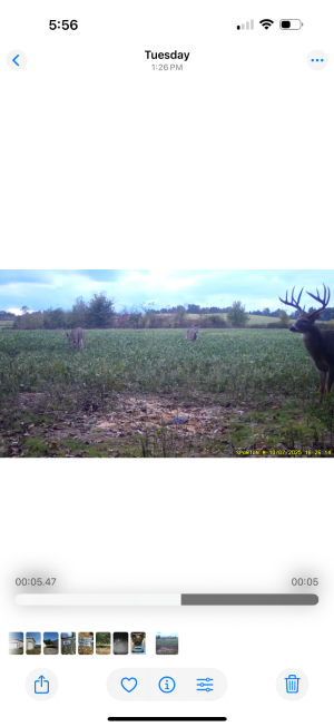 IMG_8773.png IMG_8773.png