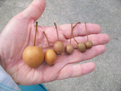 100_2170.JPG 100_2170.JPG