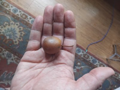 IMG_20251108_201921.jpg IMG_20251108_201921.jpg