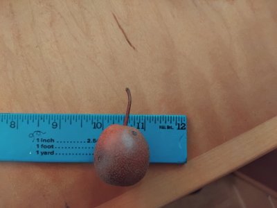 IMG_20251108_201852.jpg IMG_20251108_201852.jpg