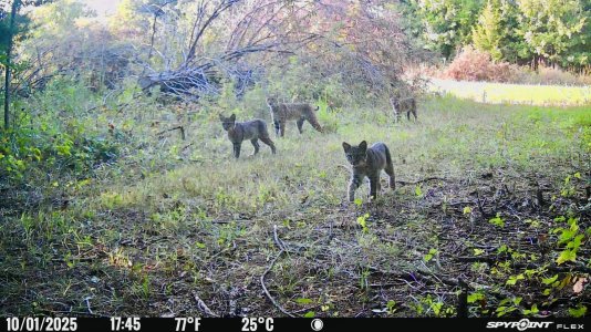 IMG_7860.jpeg IMG_7860.jpeg