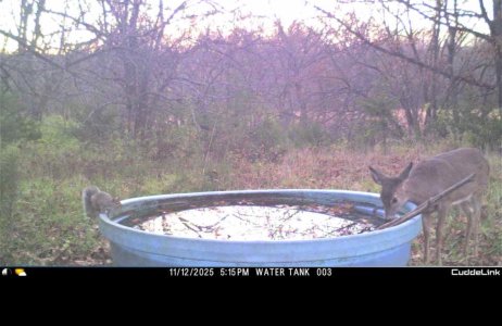 IMG_3565.jpeg IMG_3565.jpeg