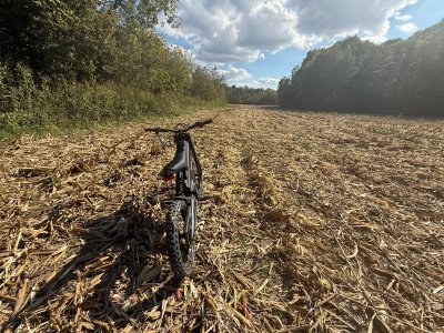 IMG_8644.jpeg IMG_8644.jpeg