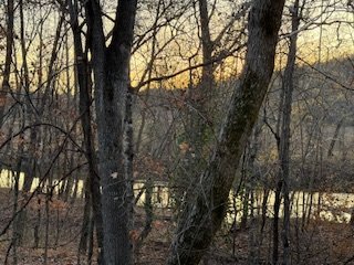 IMG_7888.jpeg IMG_7888.jpeg