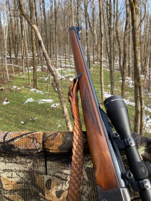 IMG_5016.jpeg IMG_5016.jpeg