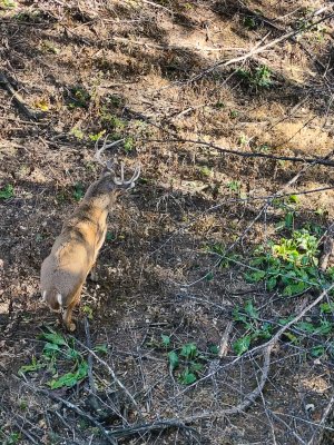 IMG_20251116_141415925_HDR.jpg IMG_20251116_141415925_HDR.jpg