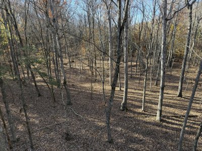 IMG_9180.jpeg IMG_9180.jpeg