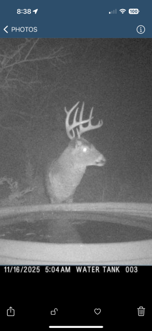 IMG_3590.png IMG_3590.png