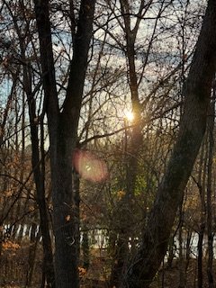 IMG_7891.jpeg IMG_7891.jpeg