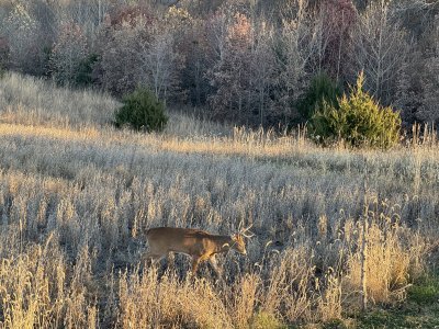 IMG_6666.jpeg IMG_6666.jpeg