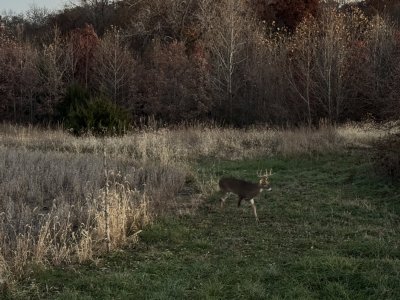 IMG_6669.jpeg IMG_6669.jpeg