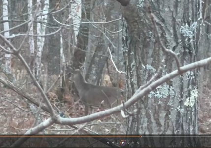 Screenshot 2025-11-17 085546.jpg